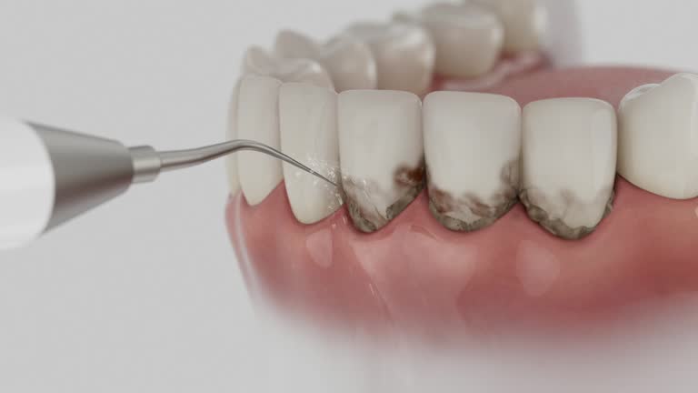 Reliable Dental contractor in Lake Village, AR by Dentist Open Now